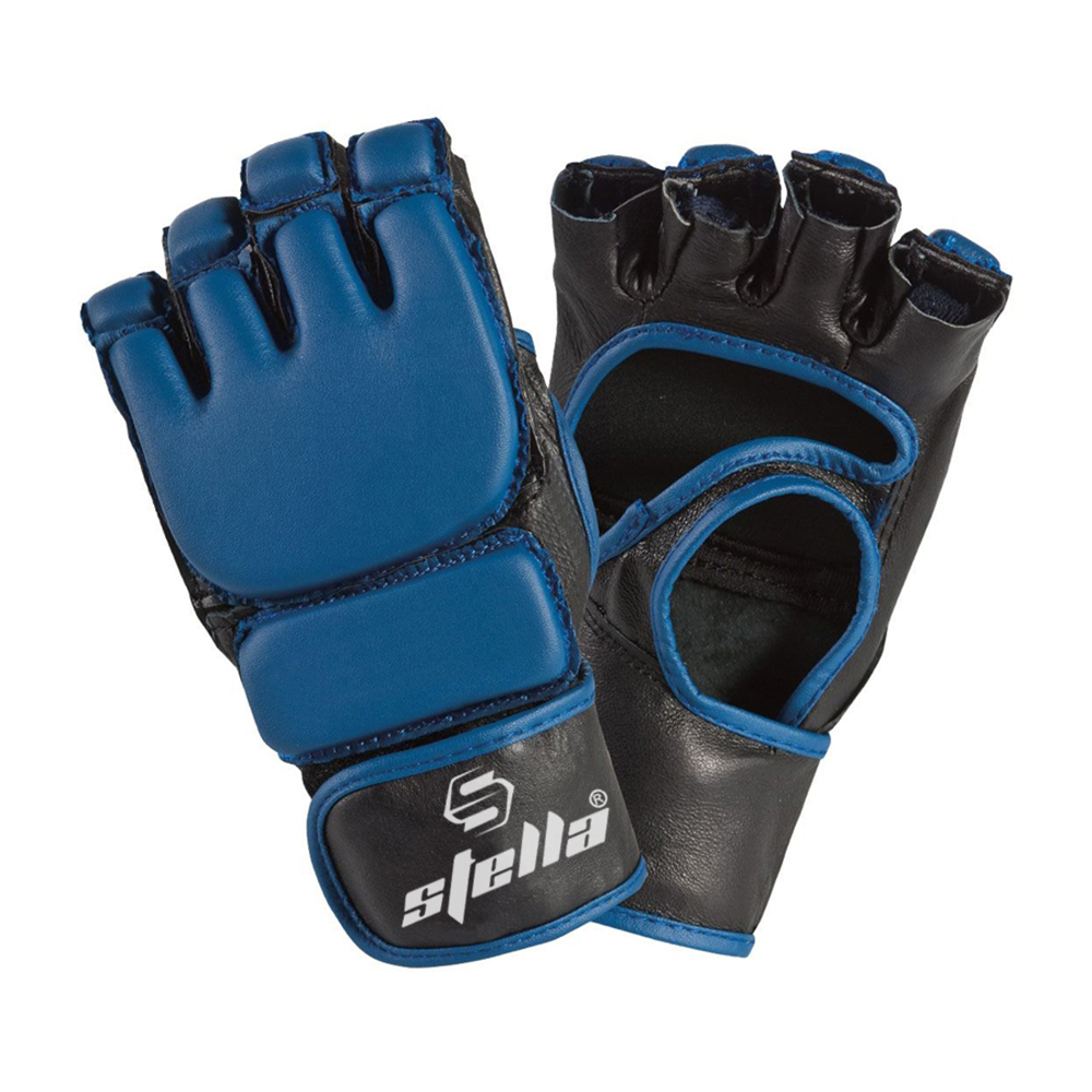 MMA Gloves